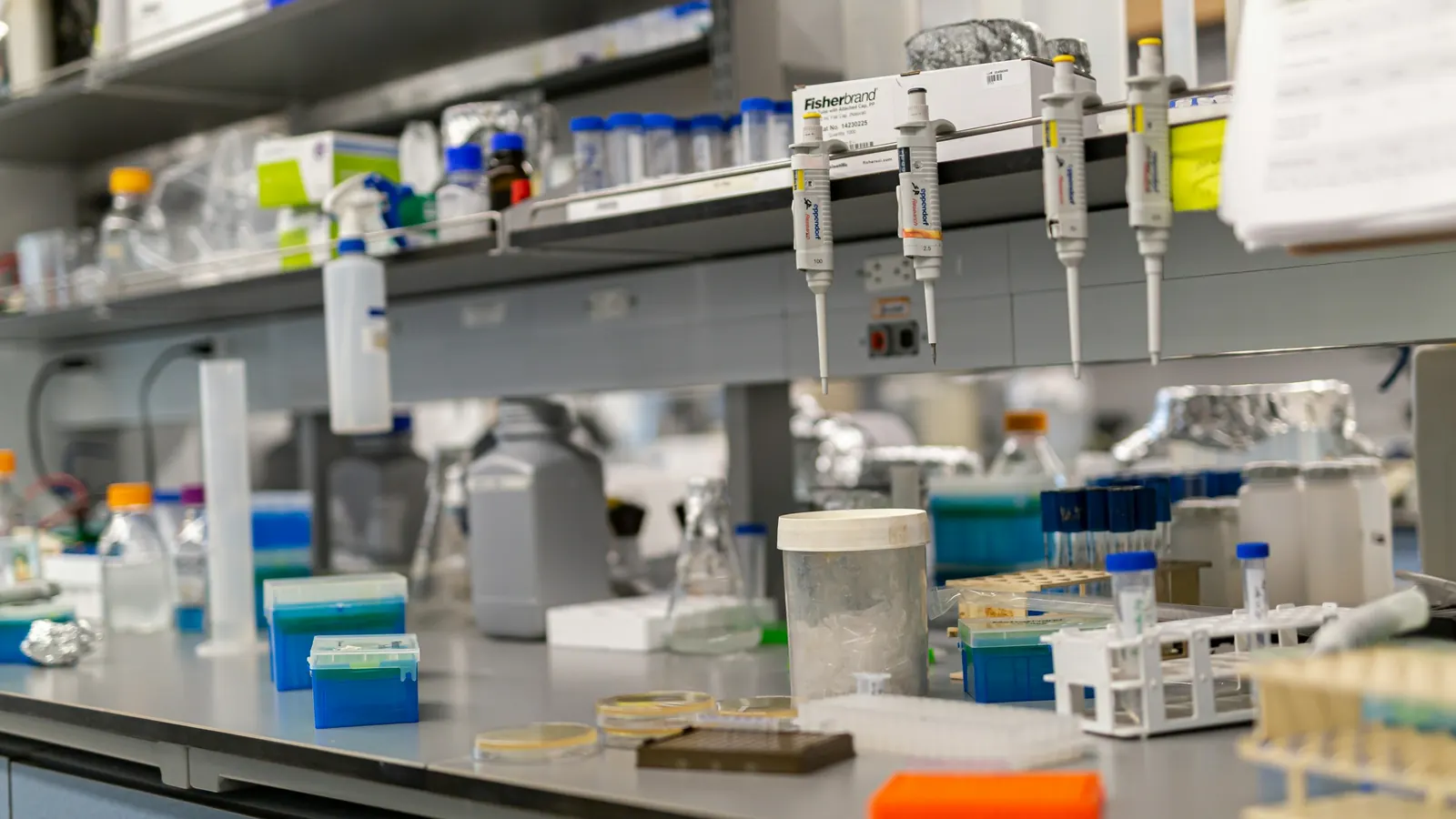 Equipos esenciales para el Laboratorio Clínico: cuáles son y cómo elegirlos